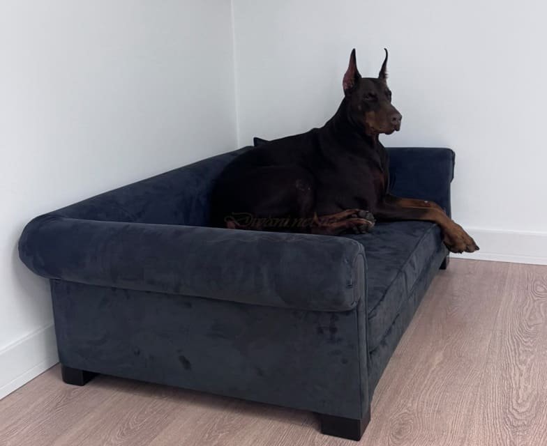 антивандальная мебель для собак