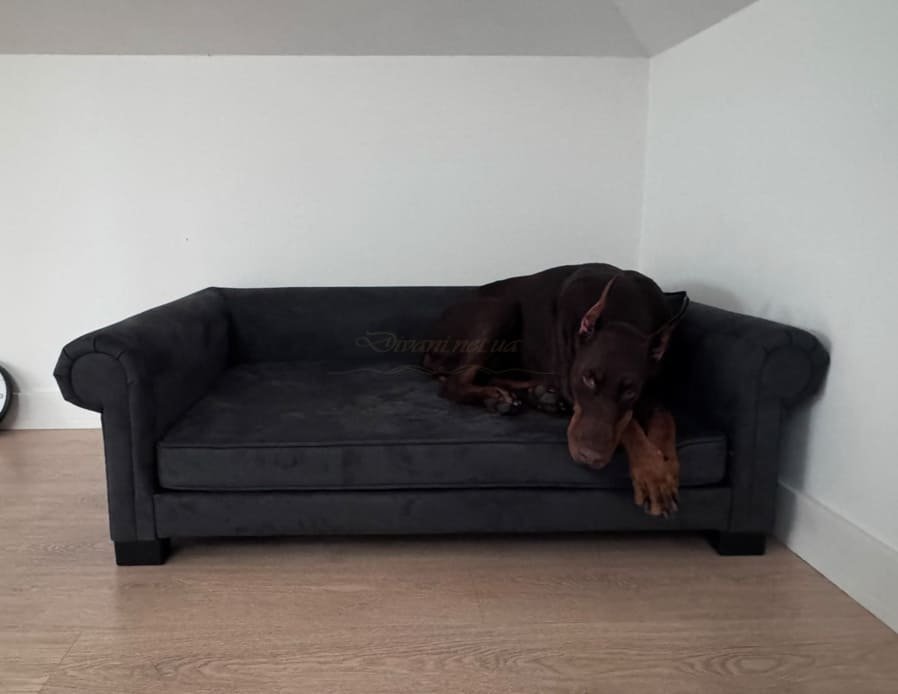 диван для кота в интерьере