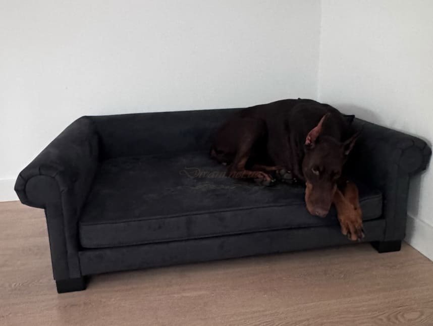 мебель для мелких большиъ собак